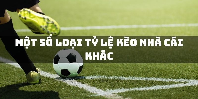 Chiến lược tối ưu khi sử dụng tỷ lệ kèo nhà cái