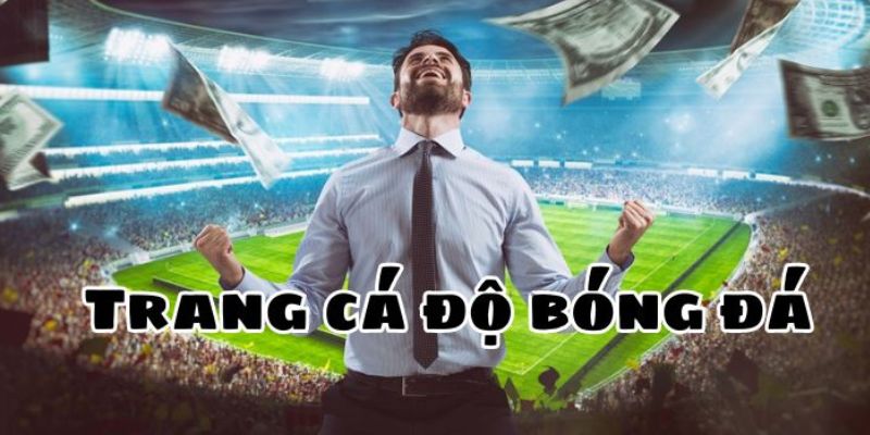Kèo nhà cái 5 chấm Net Giới thiệu tổng quan về kèo nhà cái 5 chấm Net