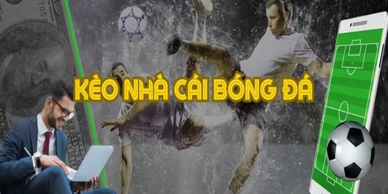 Kèo nhà cái Tekmira chi tiết cách soi hiệu quả nhất Xoilac