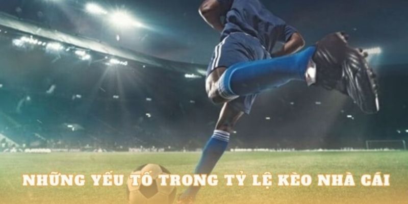 Tỷ lệ kèo nhà cái Xoilac: Hướng dẫn chi tiết cho người chơi